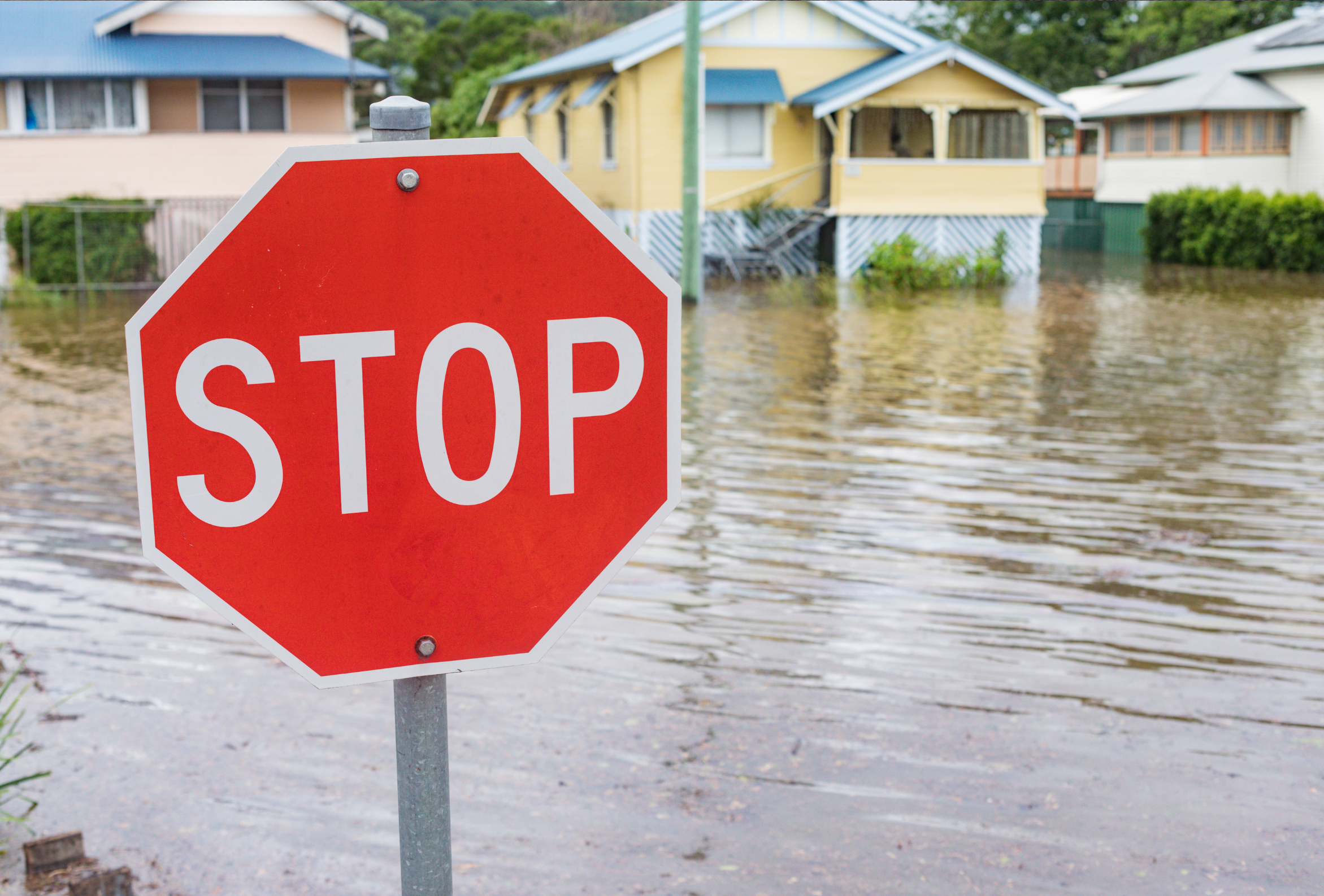 Stop sign in flooded waters