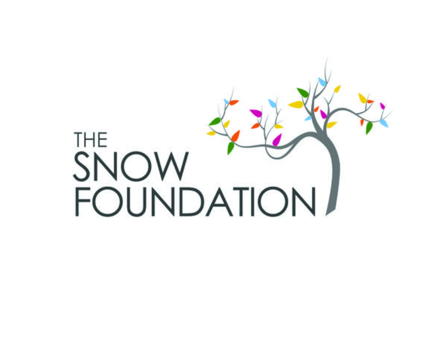 The Snow Foundation