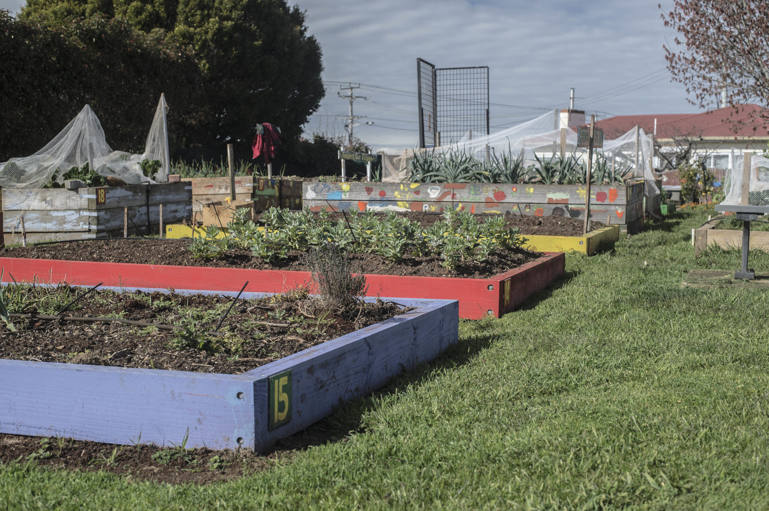 Devonport Community Garden