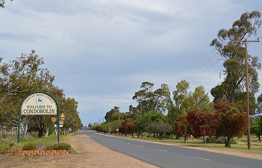 Condobolin Shire: Mattinbgn (talk · contribs), CC BY 3.0 , via Wikimedia Commons