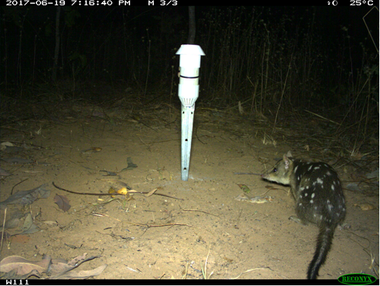 Students in a classroom with their teacher learning about science.