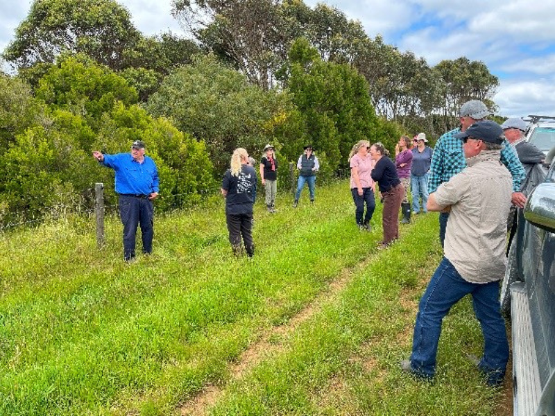 A group of people are gathered in a field, surrounded by green grass and trees. 