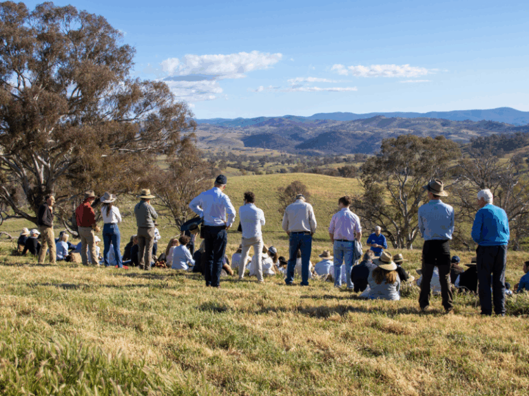 Group of people standing facing the away from the camera in a scenic rural landscape.