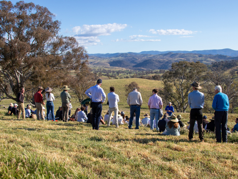 Group of people standing facing the away from the camera in a scenic rural landscape.