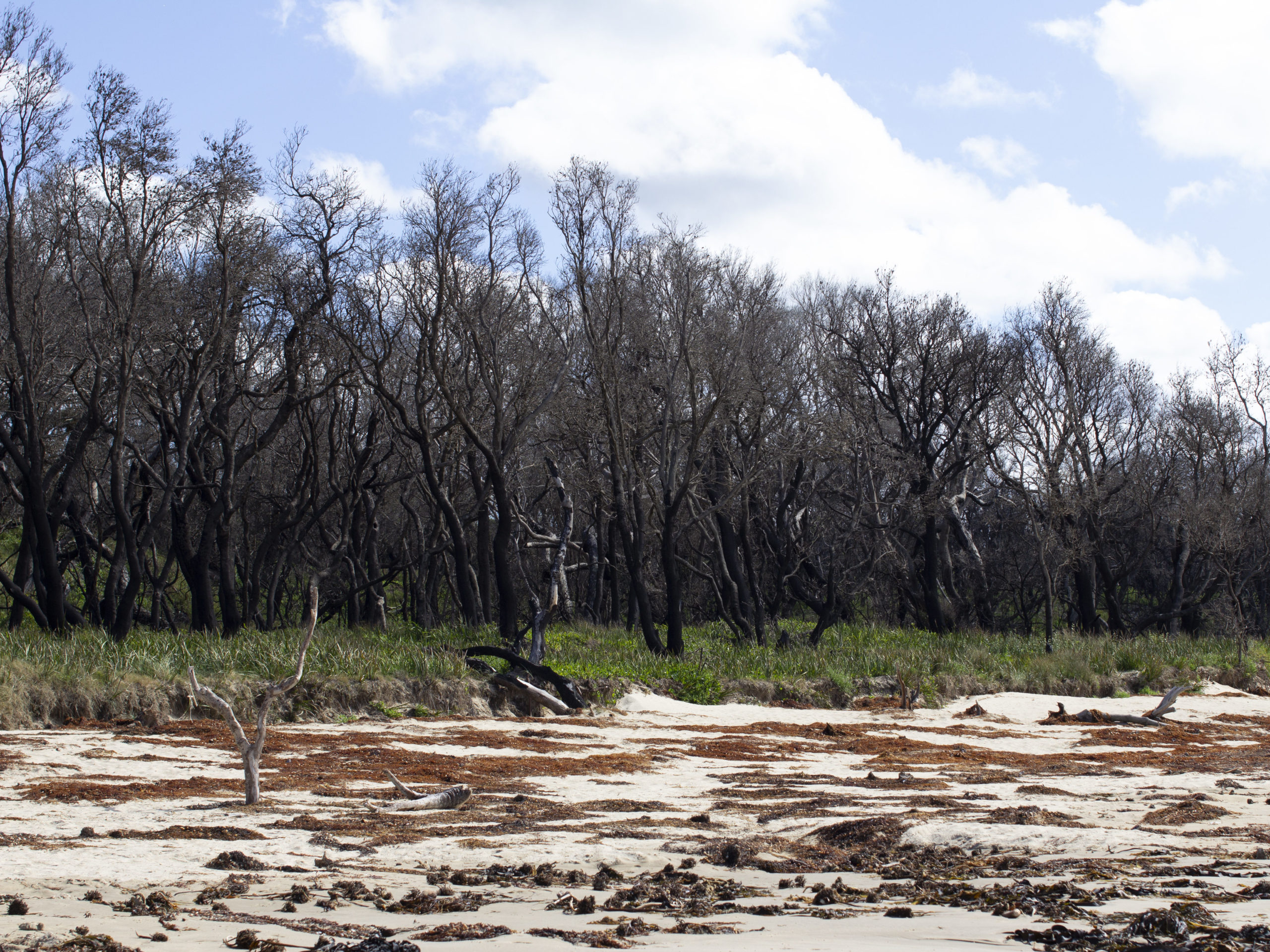 New partnership backs community-led recovery