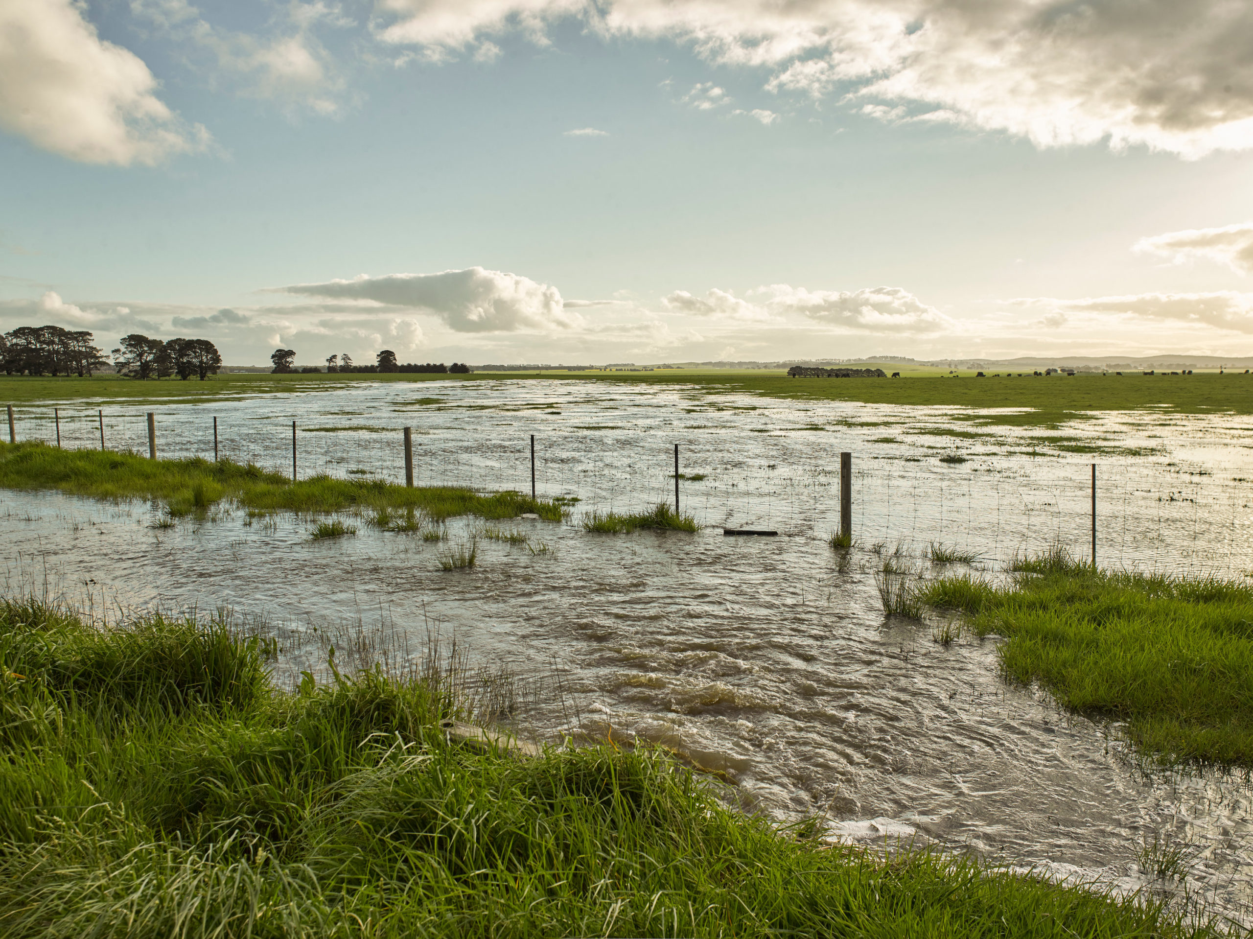 ways to strengthen community resilience to disasters