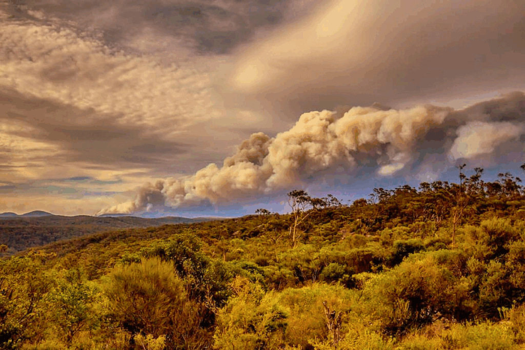 Landscape image with a bushfire burning on the mountain range.