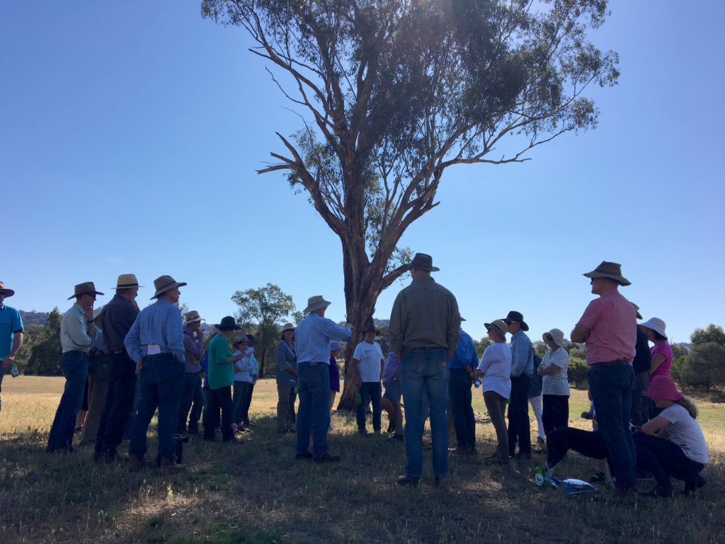 grants available for community-led initiatives that build drought resilience