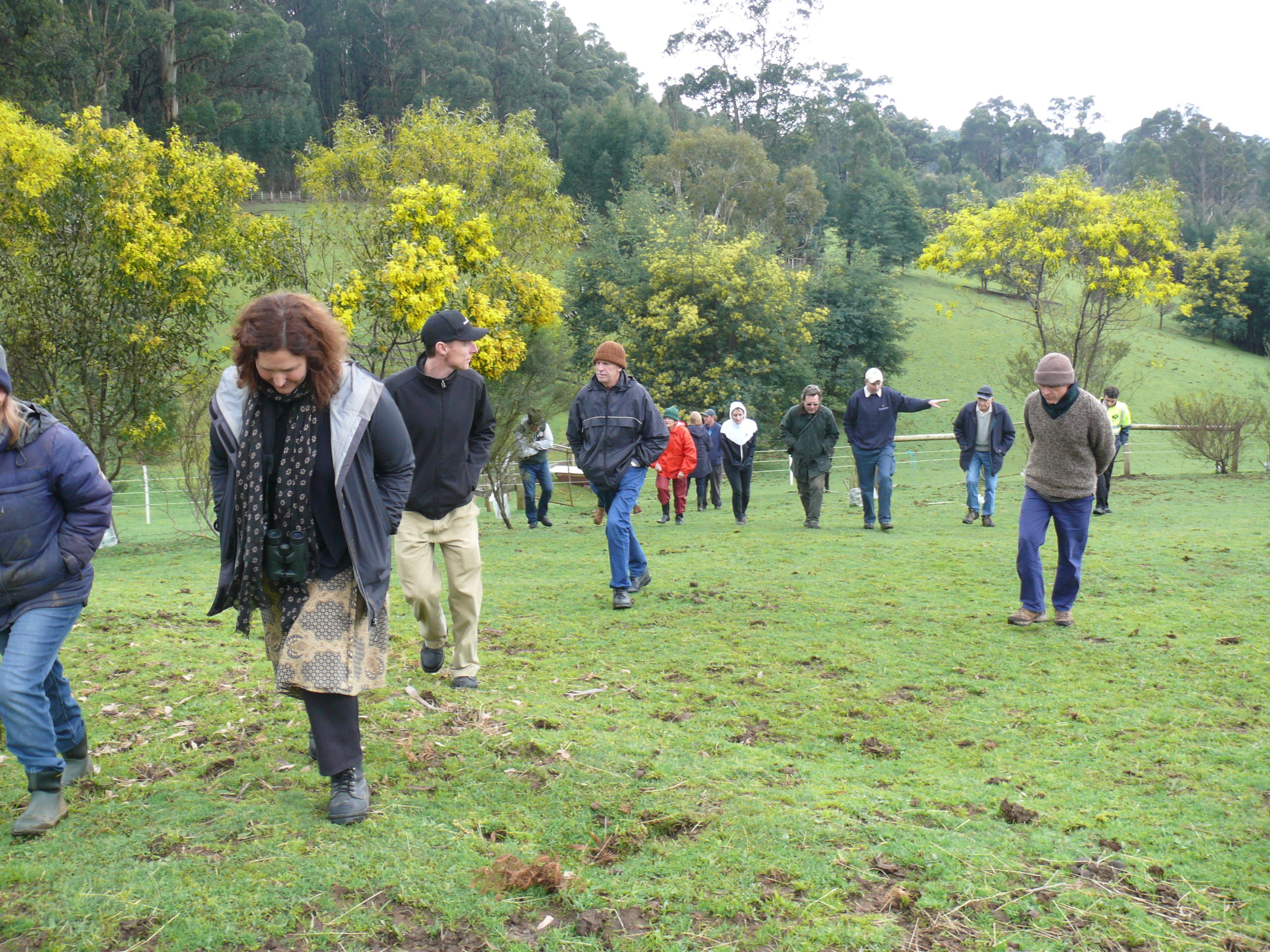 A group of people walking together in the outdoors