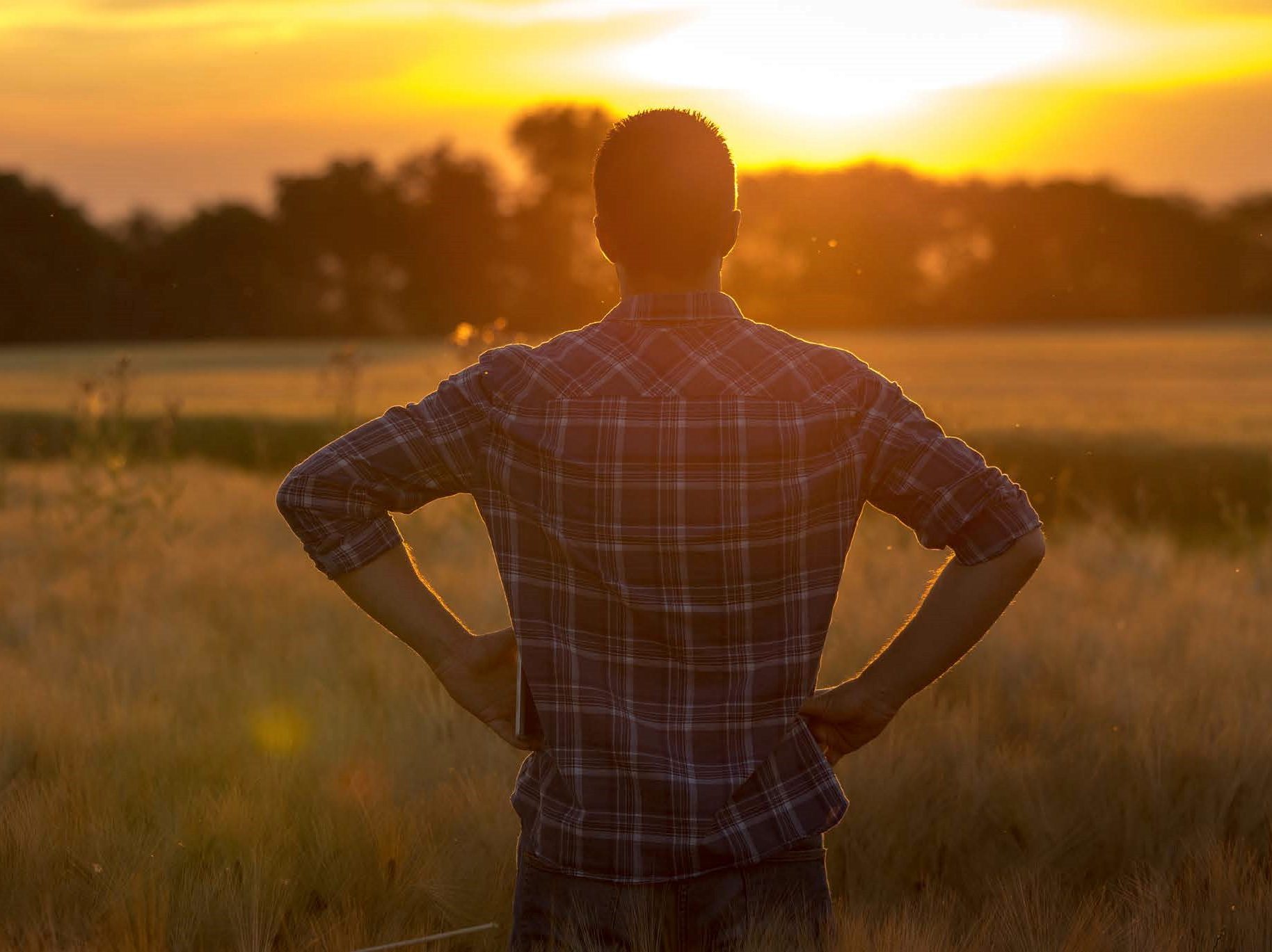 Growing our communities from the ground up