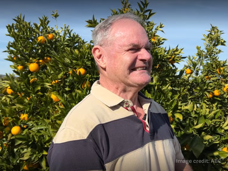 A man in a stripy top stands smiling in front of a tree with oranges on it.