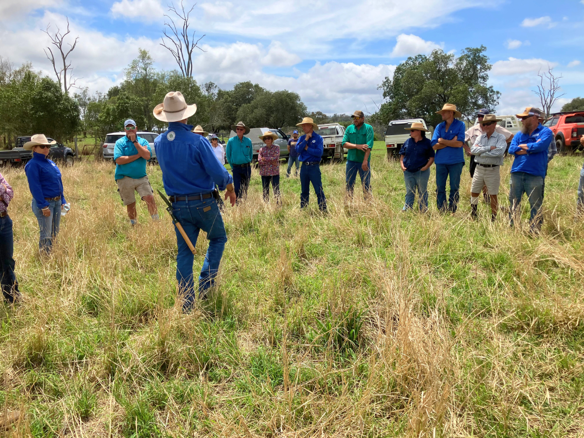 A group of people standing in a grass field on a sunny day.