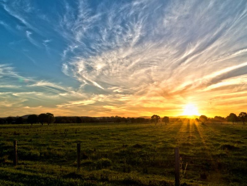 Investing in Taree and Wingham’s not-for-profits