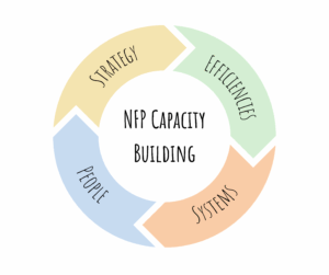 Graphic illustration of NFP Capacity Building 