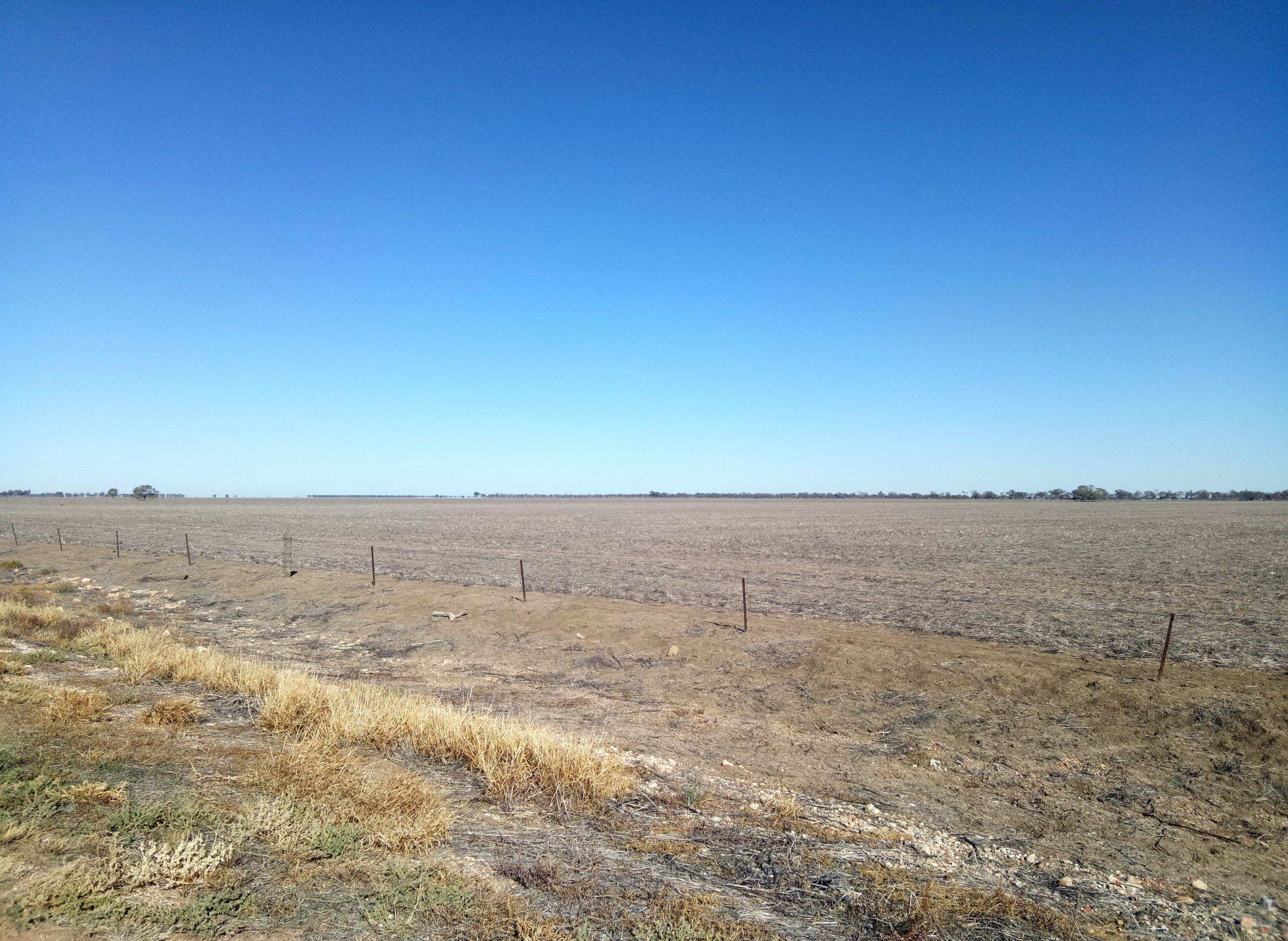 Communities tackling drought to share in more than $1 million in grants